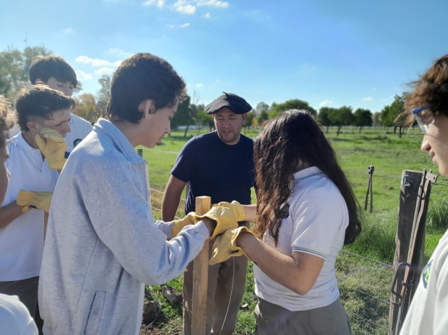 Curso de Alambrador