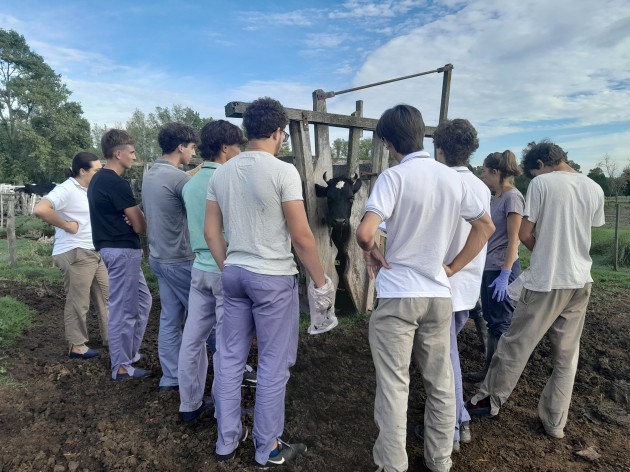 Jornadas de Inseminación Artificial